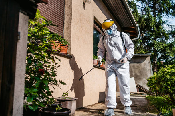 Best Bed Bug Extermination  in Lake Of The Pines, CA