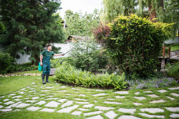 Best Cockroach Control Services  in Lake Of The Pines, CA