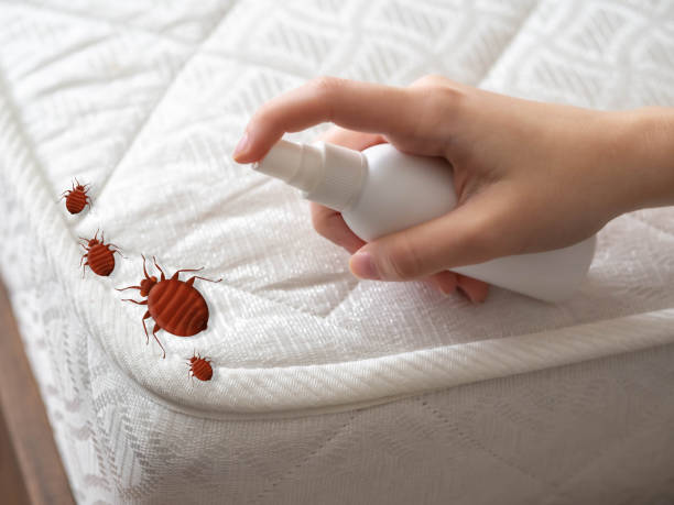 Pest Prevention Services in Lake Of The Pines, CA